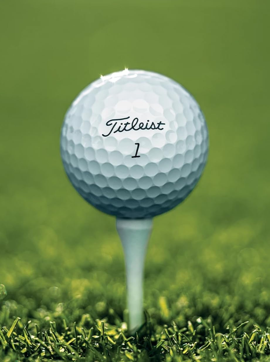 - 12 Pro V1 Golf Balls in Mint Condition, No Logos, No Player Markings, Refinished Used Golf Balls, Quality Guaranteed, White